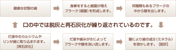 口の中では脱灰と再石灰化が繰り返されているのです。